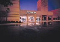 Avenue's Fashionable Expansion Plan