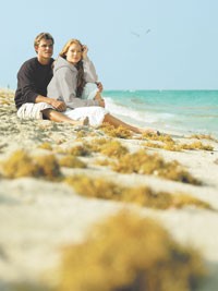Gildan Activewear Plots Expansion