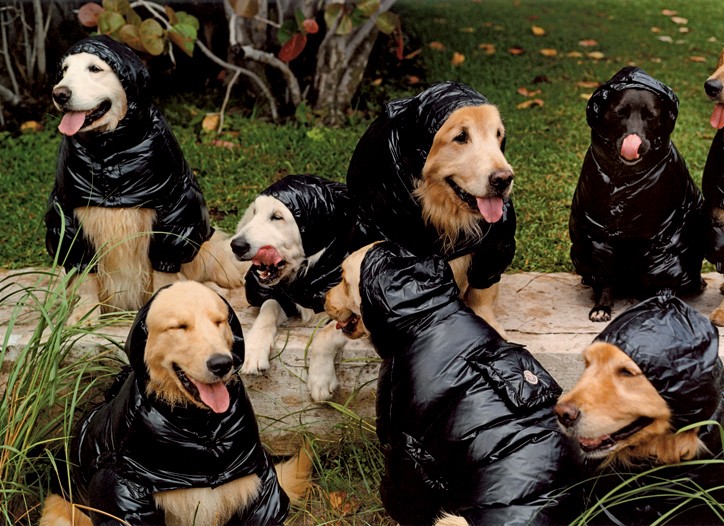 Moncler Taps Bruce Weber New Ads