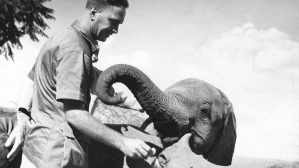 Daphne Sheldrick: Elephant Woman