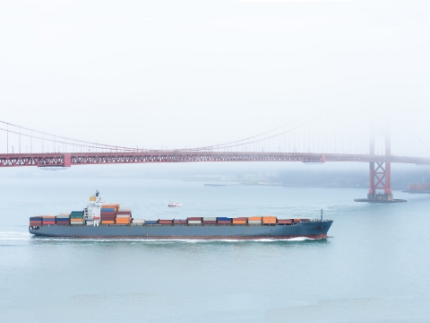 Idle Container Ships Skyrocket on Hanjin Demise, Costs Rise
