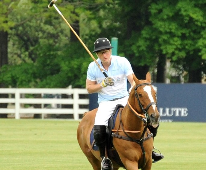 Prince Harry's Polo Diplomacy