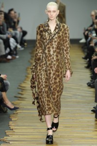 Céline RTW Fall 2014