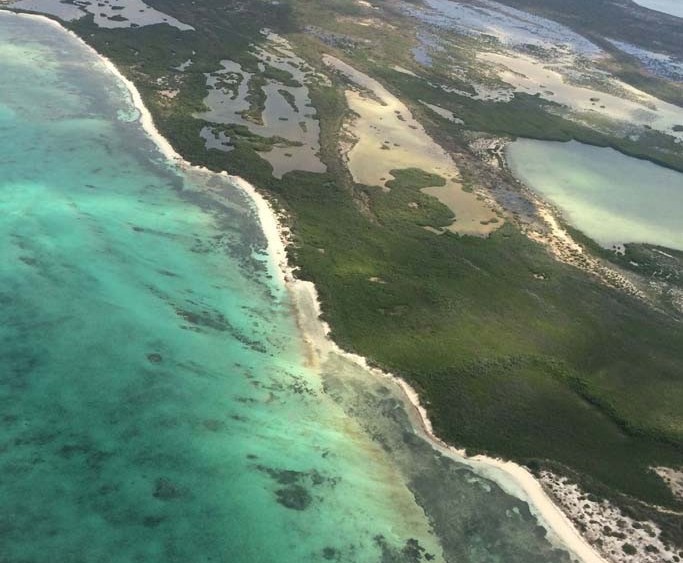 WWD Postcard: Yigal Azrouël Turks and Caicos