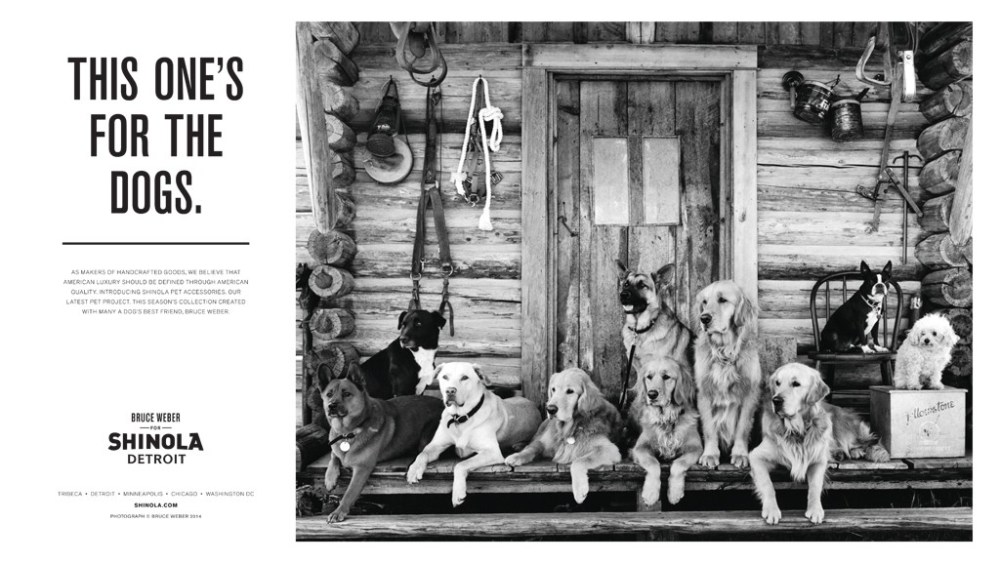 Media People: Bruce Weber