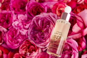 Chantecaille's L'Huile de la Rose de Mai