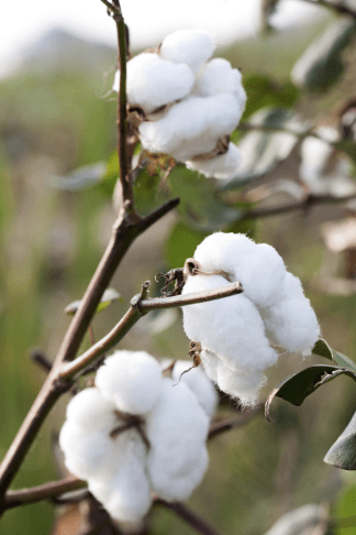 Textile Exchange Sustainability Conference Highlight Latest Eco Efforts