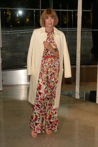 Anna Wintour at 2015 CFDA Fashion Awards Red Carpet