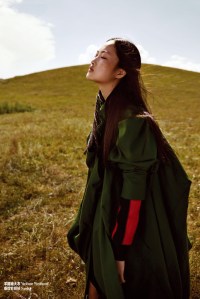 Jing Wen