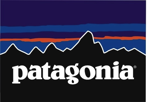 Patagonia Will Donate All Black Friday Revenue Charity