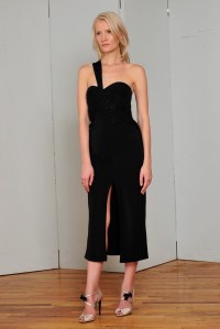 Elizabeth Fillmore Resort 2016