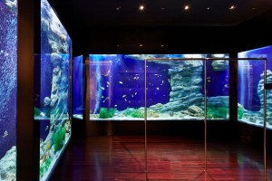 Givenchy Opens First Italian Flagship