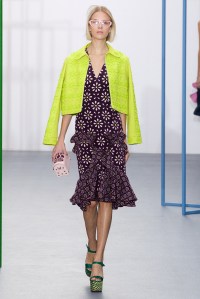 Holly Fulton RTW Spring 2016