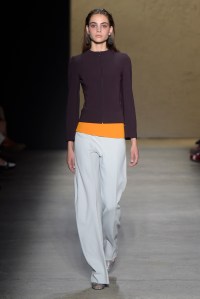 Narciso Rodriguez RTW Spring 2016