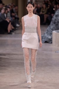 Iris Van Herpen RTW Spring 2016