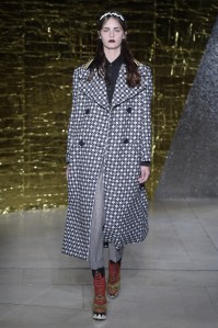 Miu Miu RTW Spring 2016