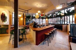 Inside Llama Inn.