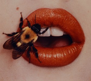 Irving Penn: Beyond Beauty exhibit at the Smithsonian