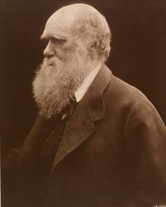photograph Julia Margaret Cameron exhibit