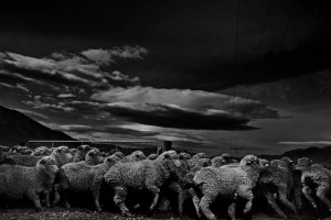A photograph taken by Paolo Pellegrin.