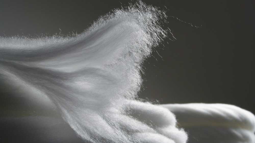Steady Fiber Prices Bring Stability to Apparel Market