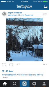 Sophie Thealley instagram