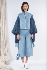 Claudia Li RTW Fall 2016