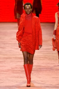 Akris RTW Fall 2016