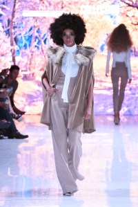 Dena Burton RTW Fall 2016