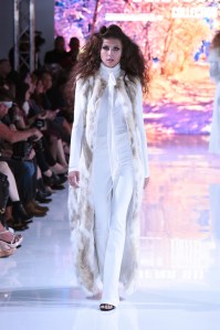 Dena Burton RTW Fall 2016