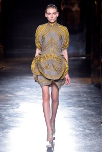 Iris Van Herpen RTW Fall 2016