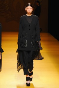 Nguyen Cong Tri RTW Fall 2016