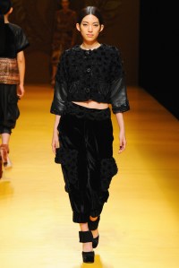 Nguyen Cong Tri RTW Fall 2016