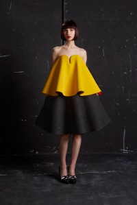 Paul Ka RTW Fall 2016
