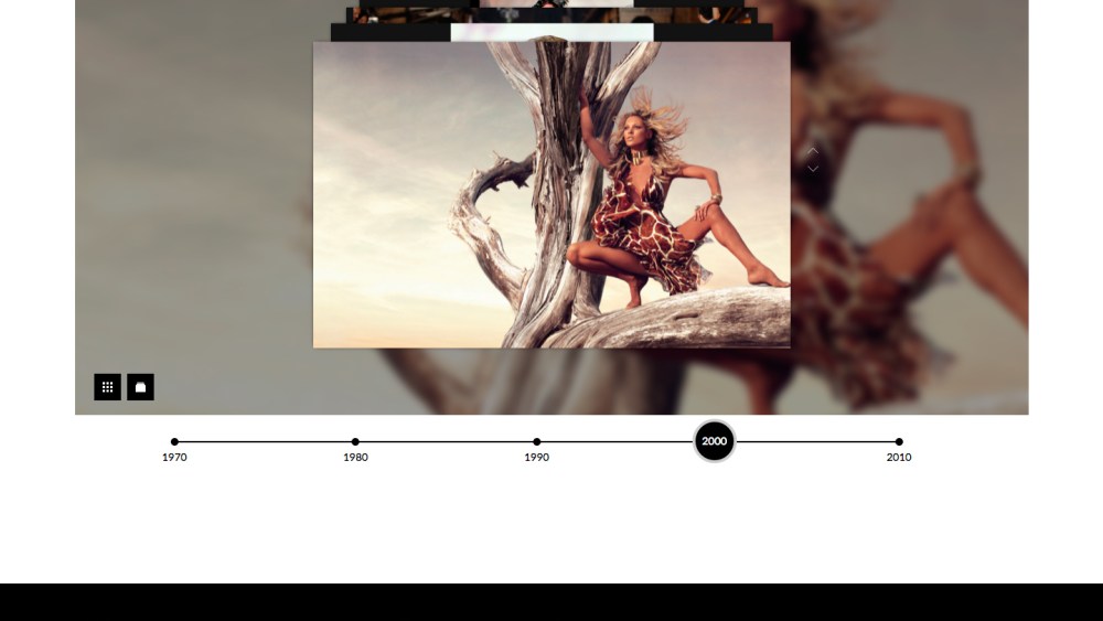 Roberto Cavalli Debuts Web Site