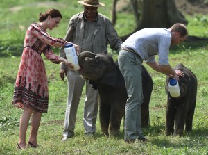 Duke Duchess of Cambridge Royal Tour India Bhutan
