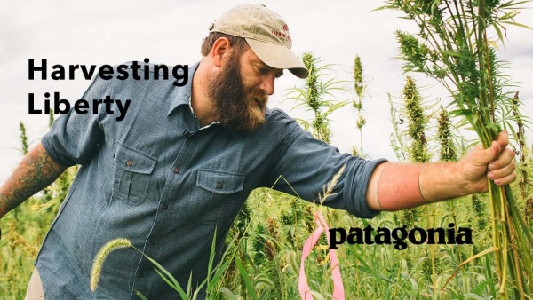 Patagonia Advocates Industrial Hemp Legalization US