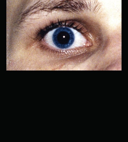 The cover of Paul Hameline's zine 'Rave New World'