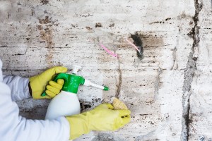 Behind the scenes of the Colosseum restoration.