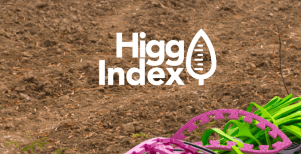 Higg FEM