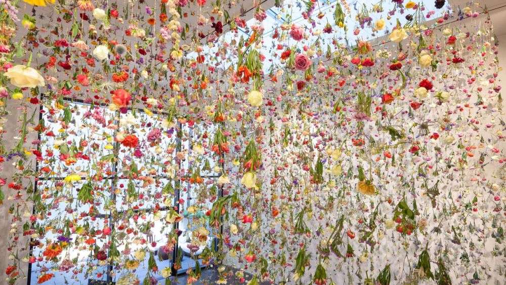 Artist Sees the Beauty of Flowers Past Their Prime
