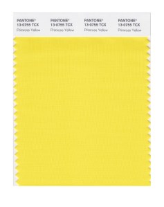 Pantone Top 10 Spring 2017 Colors Counts on New York Fashion Week for Inspiration