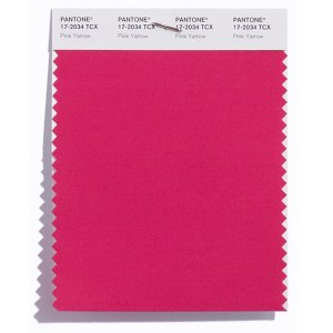 Pantone Top 10 Spring 2017 Colors Counts on New York Fashion Week for Inspiration