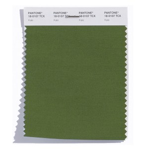Pantone Top 10 Spring 2017 Colors Counts on New York Fashion Week for Inspiration