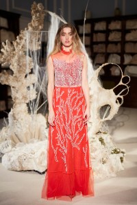 Alice Archer RTW Spring 2017