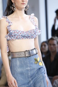 Details at Altuzarra RTW Spring 2017