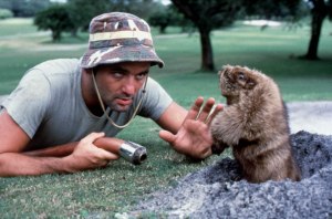 Bill Murray Golf Photo