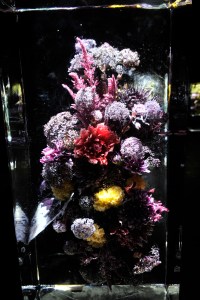 The Set at Dries Van Noten Spring 2017