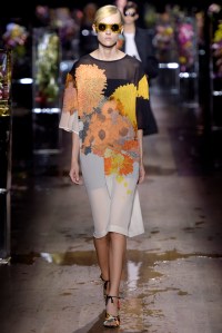 Dries Van Noten RTW Spring 2017
