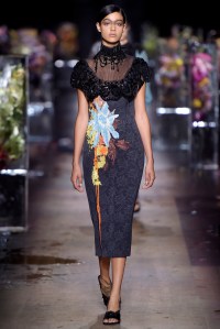 Dries Van Noten RTW Spring 2017